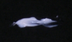 mu-3.jpg