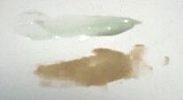 arimino5.jpg